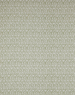Ткань Jane Churchill Innis Small Prints J0123-03