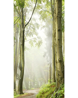 Панно и фотообои Affresco Фрески и фотообои ID10907