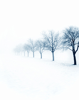 Панно и фотообои Affresco Фрески и фотообои ID12121