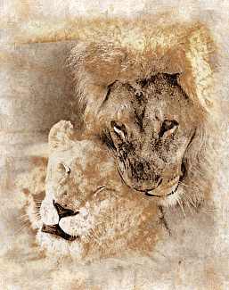 Панно и фотообои Affresco Фрески и фотообои 3284
