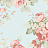 Обои Aura Flourish AB27615
