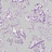Обои Pierre Frey Confettis FP345003