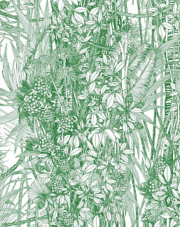 Обои Pierre Frey Jungle FP402001