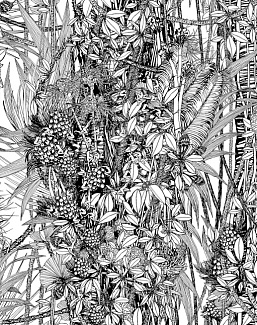 Обои Pierre Frey Jungle FP402002