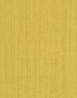 Обои Pierre Frey Les Dessins FP329002