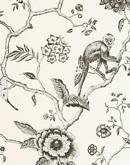 Обои Pierre Frey Les Dessins FP327001