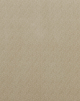 Ткань Baker Lifestyle Carnival Velvet PF50423/225