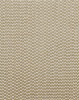 Ткань Baker Lifestyle Carnival Velvet PF50421/225
