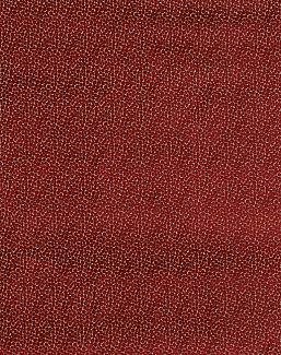 Ткань Baker Lifestyle Carnival Velvet PF50423/450
