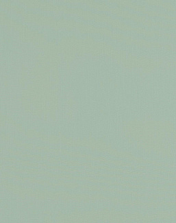 Ткань Clarke & Clarke Tatton Linens F0354/10
