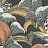 Обои Cole & Son Ardmore Jabula 119/1005