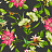 Обои Clarke & Clarke Botanical Wonders W0132/03