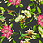 Обои Clarke & Clarke Botanical Wonders W0132/03