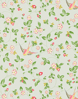 Обои Clarke & Clarke Botanical Wonders W0135/02