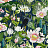 Обои Clarke & Clarke Botanical Wonders W0137/04