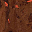 Обои Innovations Collection GCO-112