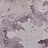 Обои Innovations Collection OIL-01