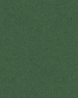Обои Brewster Evolution 5 BWE05612