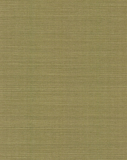 Обои York Ronald Redding Grasscloth & Natural Resource GV0145NW