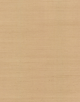 Обои York Ronald Redding Grasscloth & Natural Resource VG4402NW