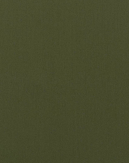 Ткань Designers Guild Perledo FDG3103/11