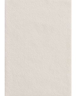 Ткань Dedar Adorabile Alpaca T23021/004