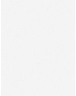 Ткань Fabricut Wide Natural Sheers Textural Breeze Pearl Sundowner/Nougat