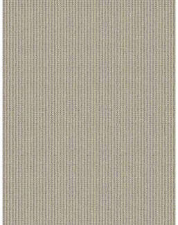 Ткань Fabricut Checks&Stripes Avalon Lane Bitterroot/Flax