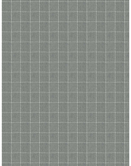 Ткань Fabricut Checks&Stripes Avalon Lane SweetGrass/Mineral
