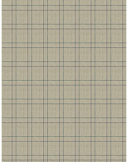 Ткань Fabricut Checks&Stripes Avalon Lane BishopCheck/Rain