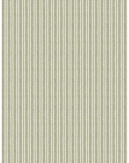 Ткань Fabricut Checks&Stripes Avalon Lane Drought/Cactus