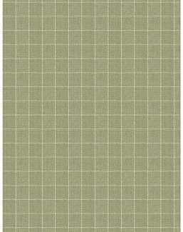 Ткань Fabricut Checks&Stripes Avalon Lane SweetGrass/Cactus
