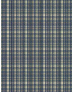 Ткань Fabricut Checks&Stripes Avalon Lane Tornado/Indigo