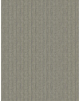 Ткань Fabricut Checks&Stripes Avalon Lane Bitterroot/Indigo
