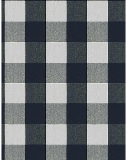 Ткань Fabricut Checks&Stripes Avalon Lane Milia/Ink