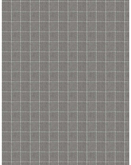 Ткань Fabricut Checks&Stripes Avalon Lane SweetGrass/Pewter
