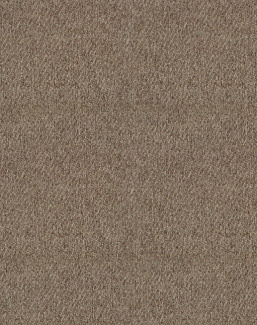 Ткань Sobranie Wool Line SW06