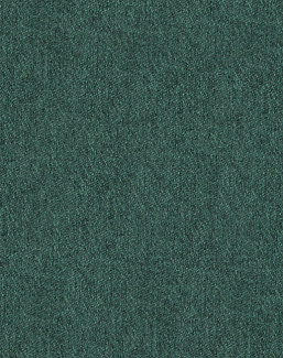 Ткань Sobranie Wool Line SW20