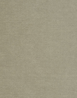 Ткань Zoffany Quartz velvet 331615