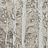 Обои Collection For Walls Modern I 202402