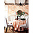Обои Jaima Brown Retreat Kentucky-Blue-Grass-Orange
