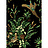 Обои Jaima Brown Retreat Pheasant-Run-Black