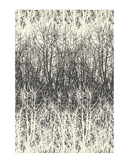 Обои Schumacher Modern Nature 2707243