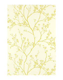 Обои Schumacher Modern Nature 5003342