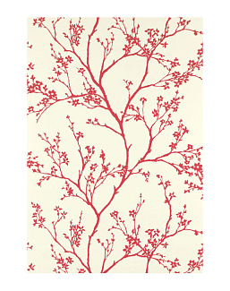 Обои Schumacher Modern Nature 5003343