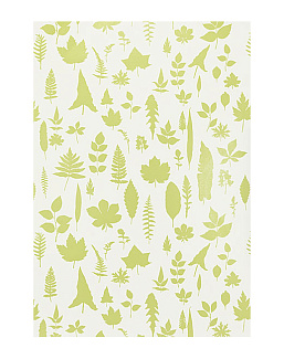Обои Schumacher Modern Nature 5005021