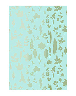 Обои Schumacher Modern Nature 5005022