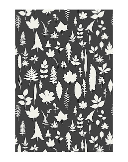 Обои Schumacher Modern Nature 5005023
