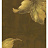 Обои Wallquest Sandpiper Studios - New Elegance SD70707