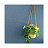 Обои Caselio Swing SNG68526460